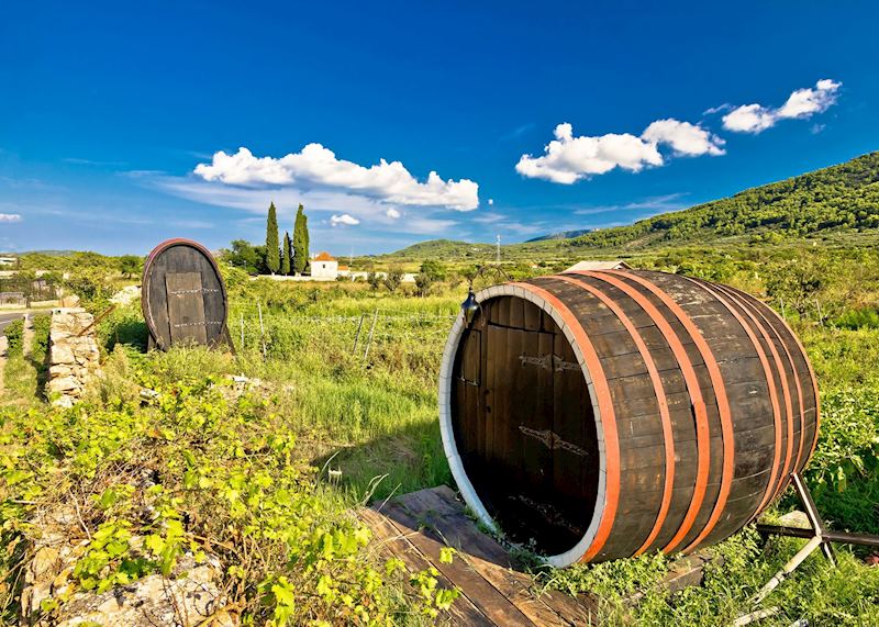 Farmland of Stari Plain, Hvar