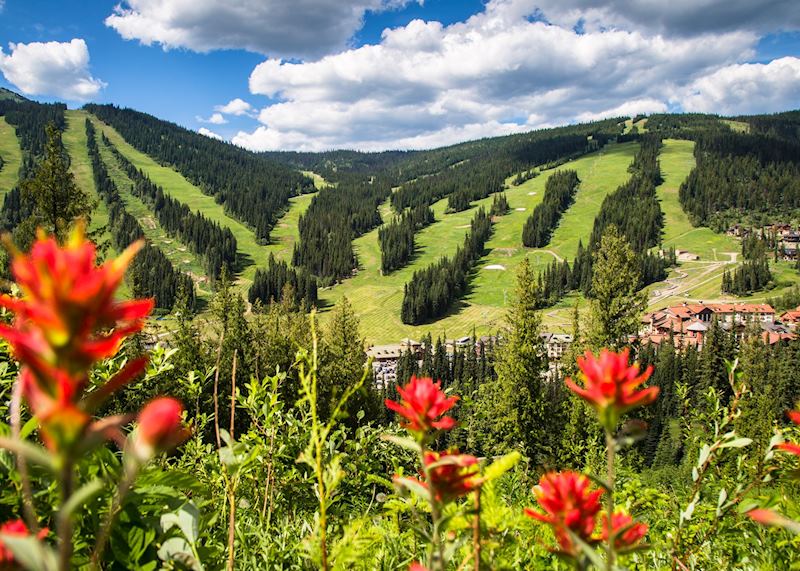 Scenery around Sun Peaks