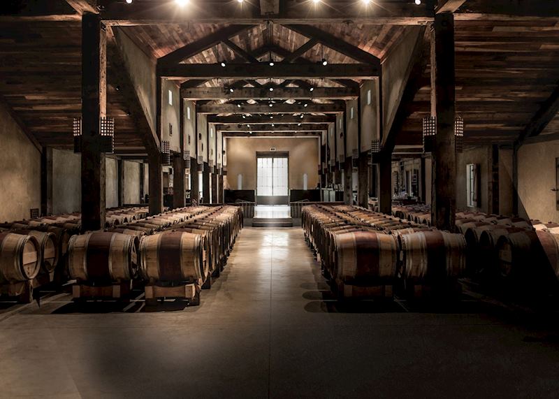 Barrel room in Hawke's Bay