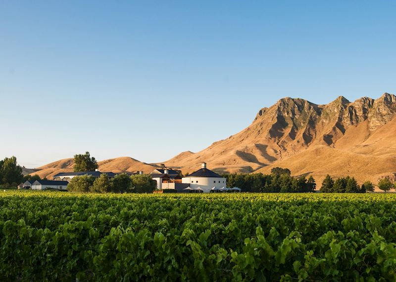 Te Mata Peak and Craggy Range Vineyards