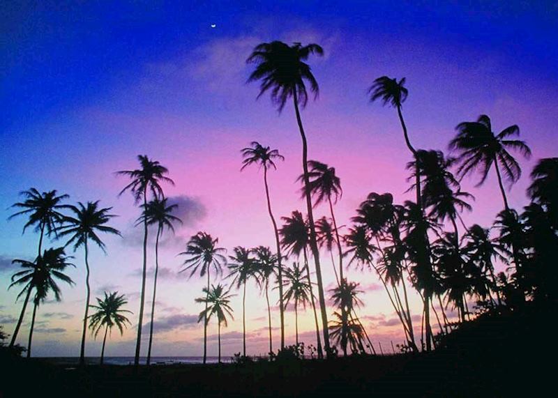 Praia do Forte, Brazil