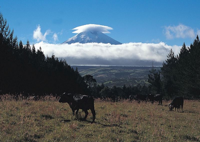 Cotopaxi, Ecuador