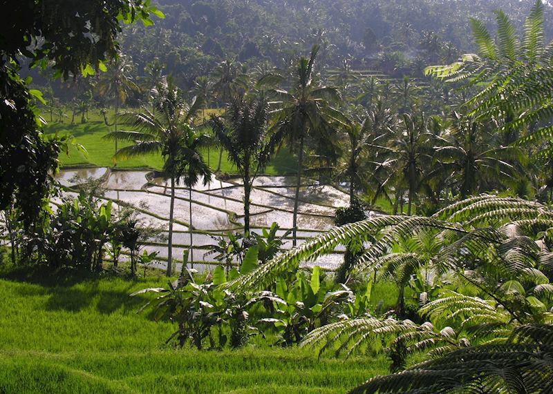 Scenery around Jatiluwih, Bali