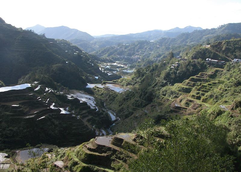 Rice Terraces, Banaue