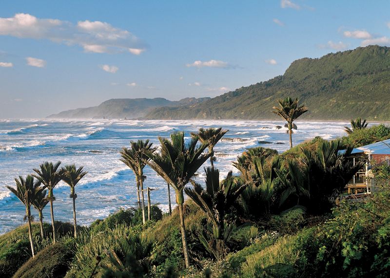 West Coast scenery, New Zealand