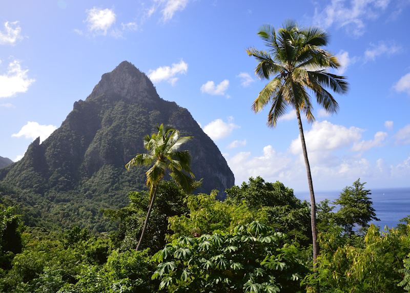 Piton, Saint Lucia