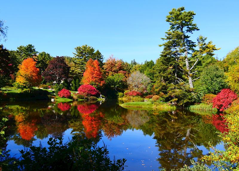 Bar Harbor 