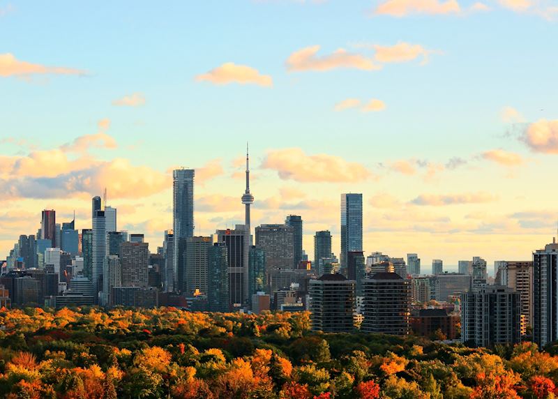 Fall colours in the city, Toronto, Ontario