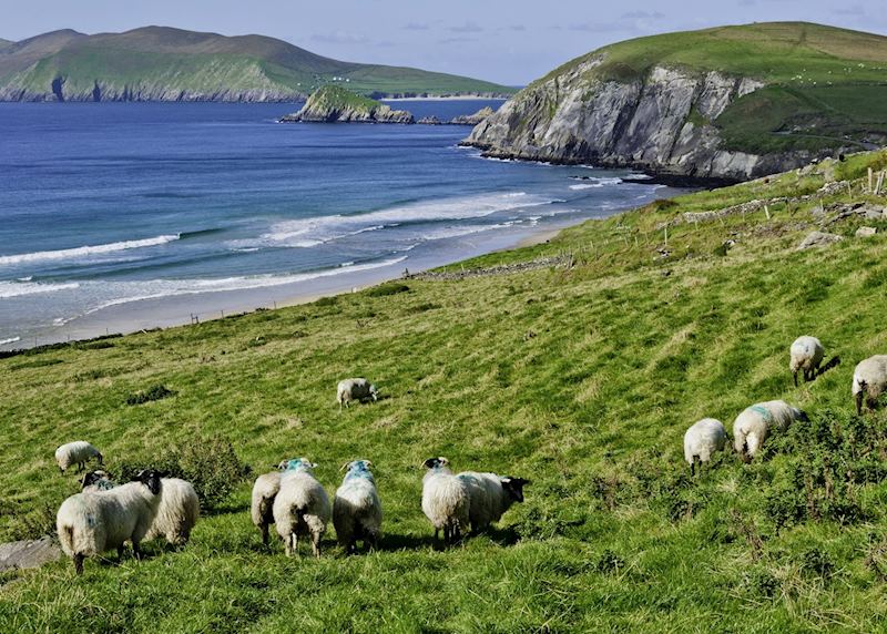Dingle Peninsula
