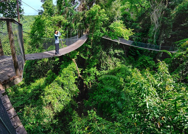 Canopy walkway