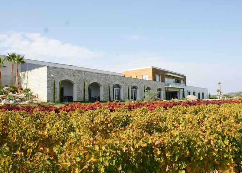 Wine tasting at Urla Vineyard, Alacati