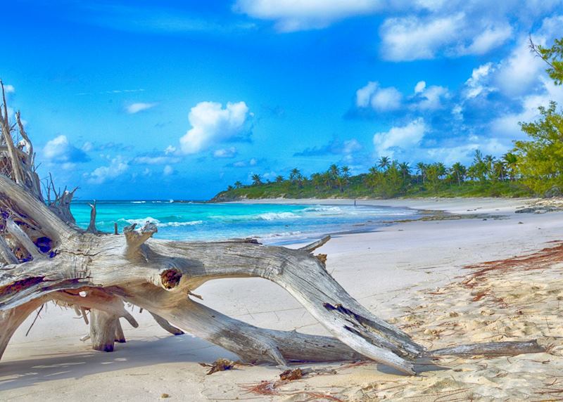 Beachfront in  The Bahamas