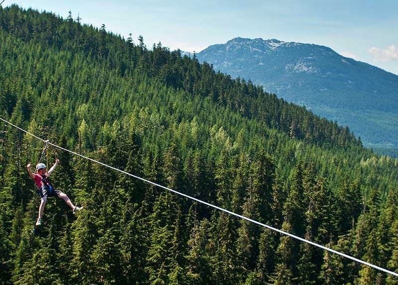 Zipline Adventure Eagle Tour, Whistler