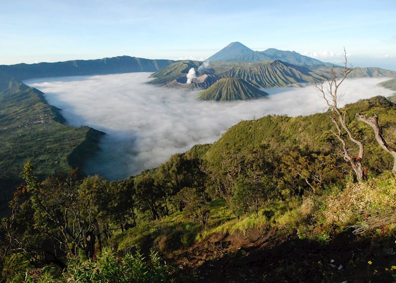 Mount Bromo, Indonesia