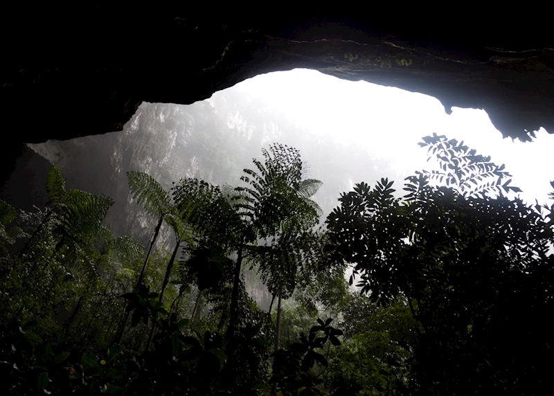 Cave entrance in Mulu, Malaysian Borneo