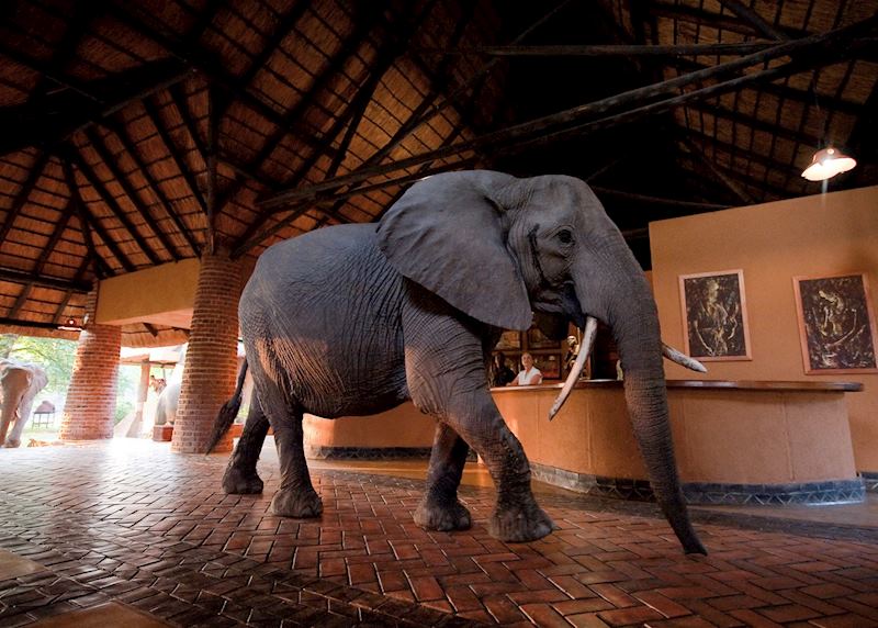 Mfuwe Lodge, South Luangwa National Park