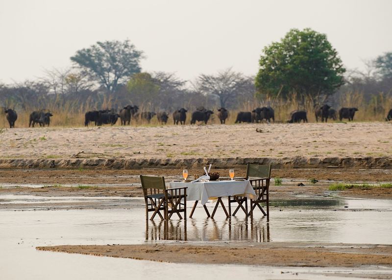 Dinner in the Kapamba River with the Bushcamp Company