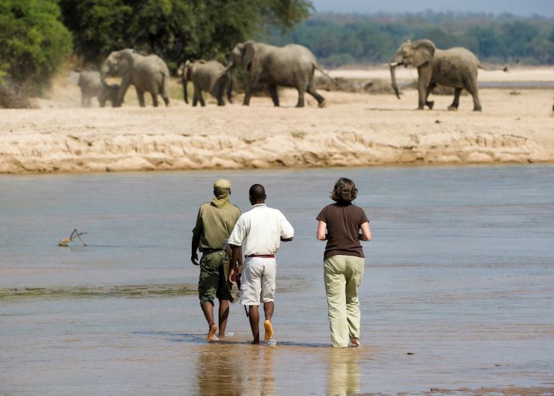 Guided walk with the Bushcamp Company