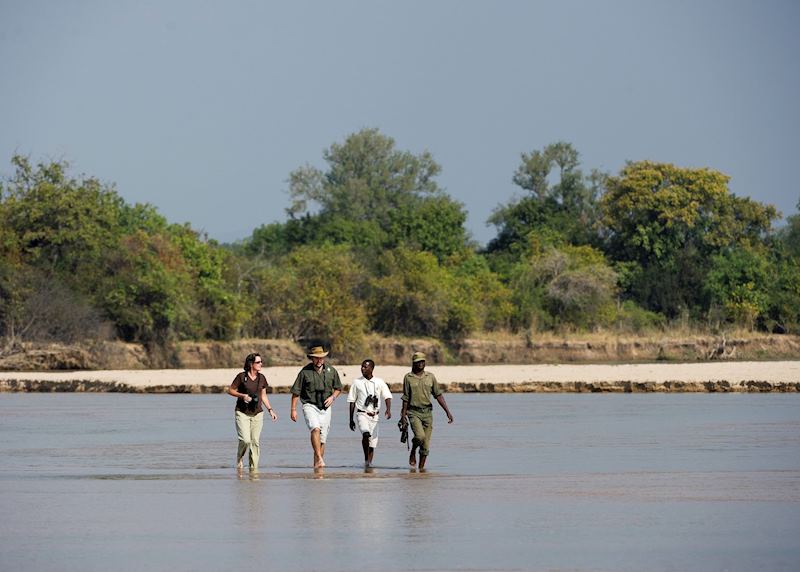 Guided walk with the Bushcamp Company
