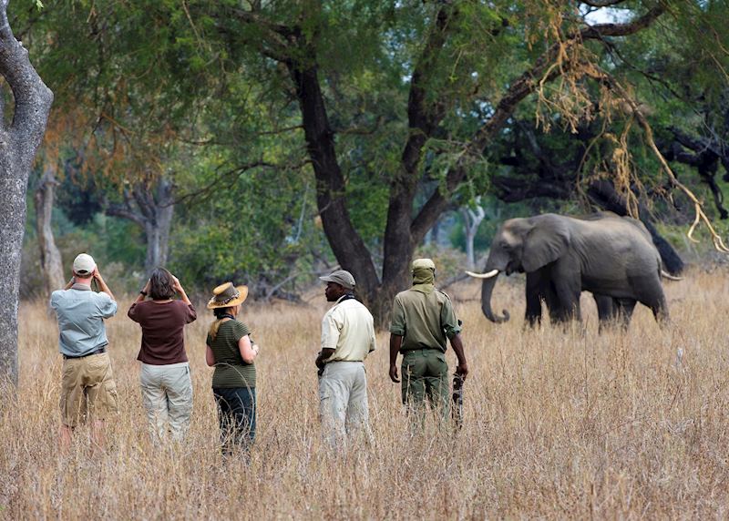 Guided walk with the Bushcamp Company
