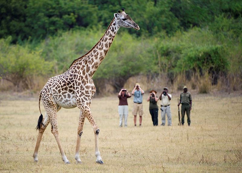 Guided walk with the Bushcamp Company