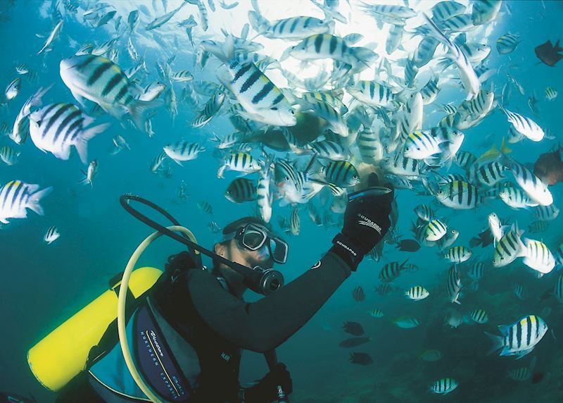 Diving in El Nido, Philippines