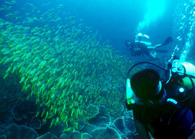 Diving in El Nido, Philippines