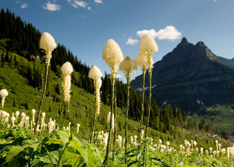 Glacier National Park
