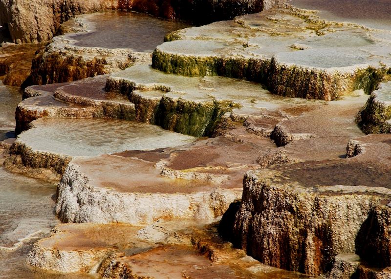 Yellowstone National Park