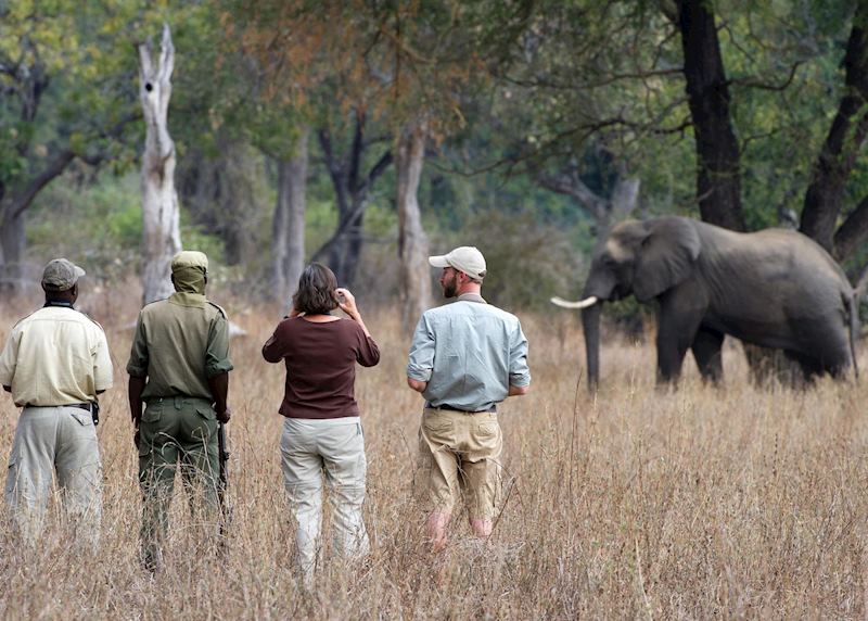 Walking safari in the Luangwa Valley