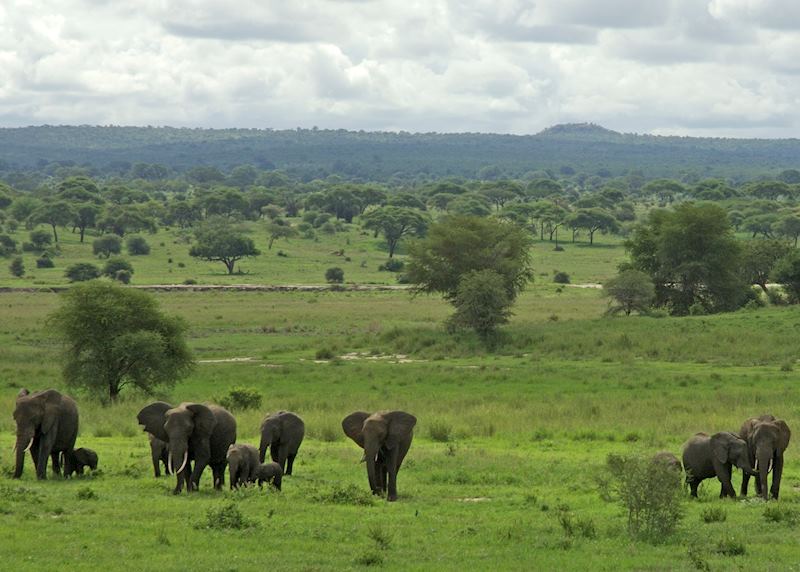 Tarangire National Park, Tanzania