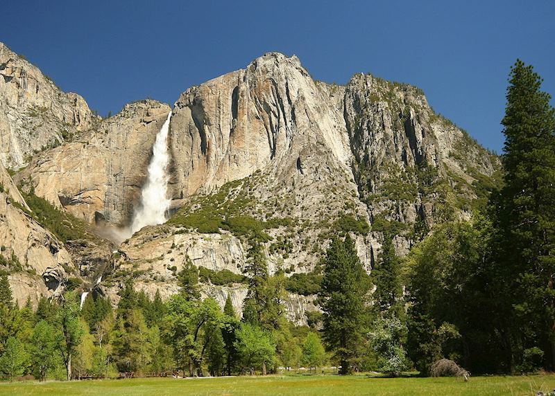 Yosemite Falls, Yosemite National Park