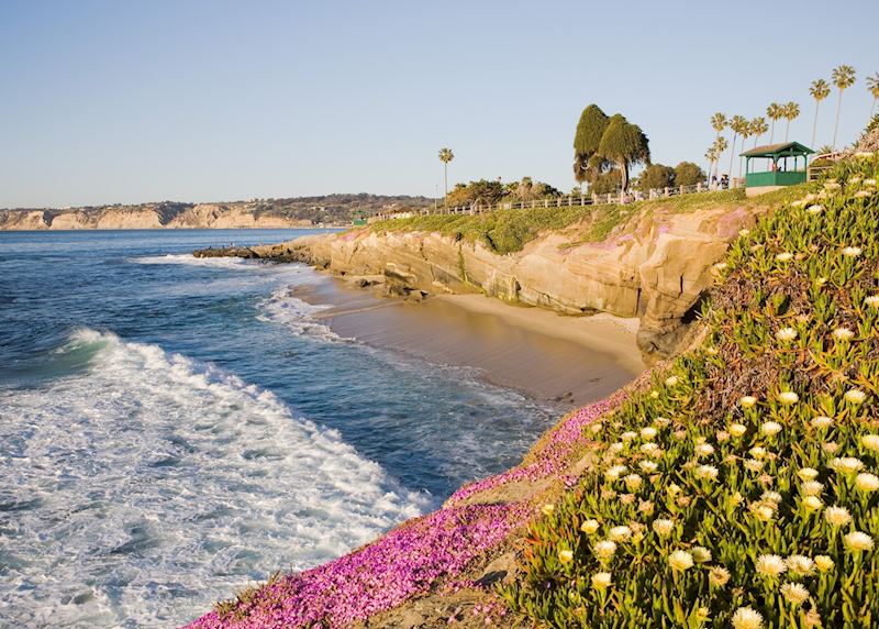 A beach in La Jolla, near San Diego, California