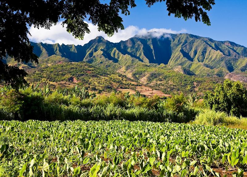 Oahu, Hawaii 