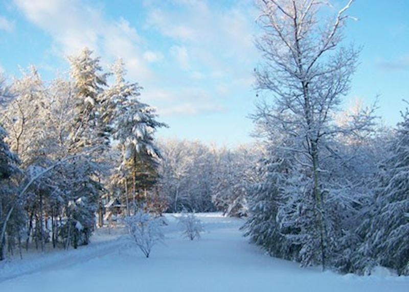 Jackson, New Hampshire, USA