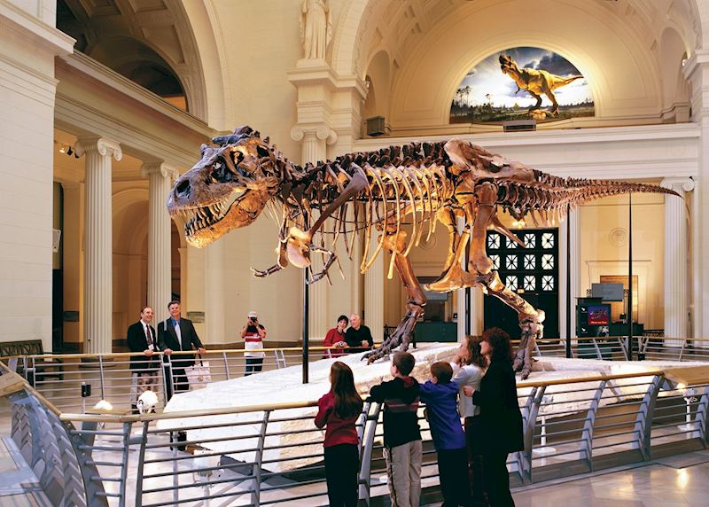 Tyrannosaurus Rex Sue at the Field Museum, Chicago