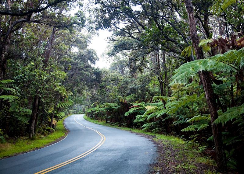 Driving through Hawaii (Big Island)