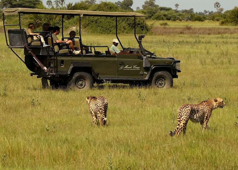 Luxury Botswana Safari Tour | Audley Travel US