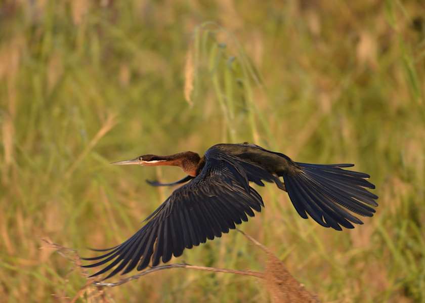 Best Time to Visit Namibia Climate Guide Audley Travel UK