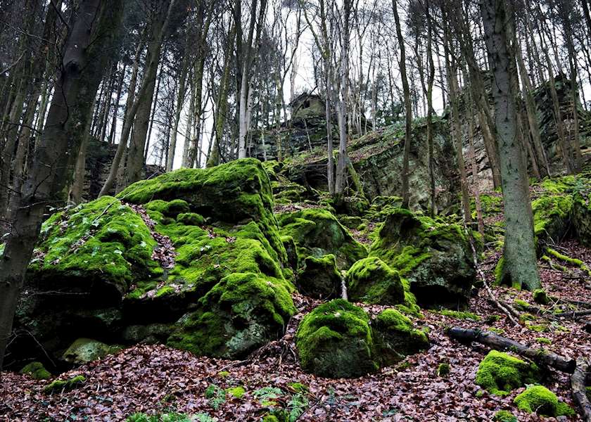 Best Time to Visit Luxembourg Climate Guide Audley Travel UK