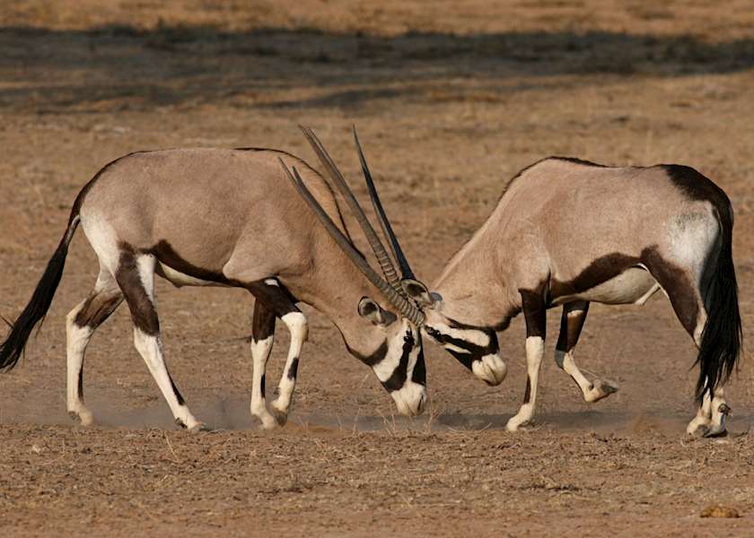 Best Time to Visit Namibia Climate Guide Audley Travel UK