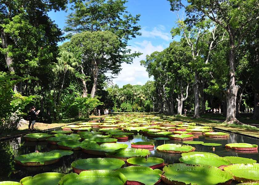 Best Time to Visit Mauritius | Best Months for Travel | Audley Travel US