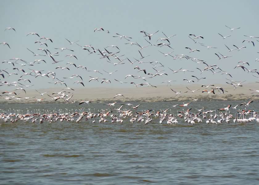 Best Time to Visit Namibia Climate Guide Audley Travel UK