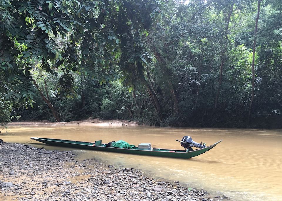 Orangutans & islands of Borneo | Audley Travel